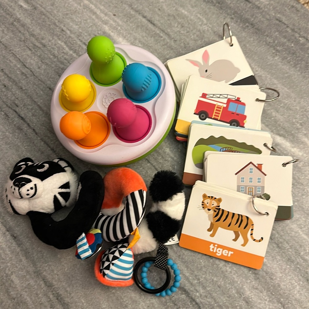 Fatbrain Toys Spinny Pins, Manhattan Toy Co + Flash Cards (0-12 mos+)